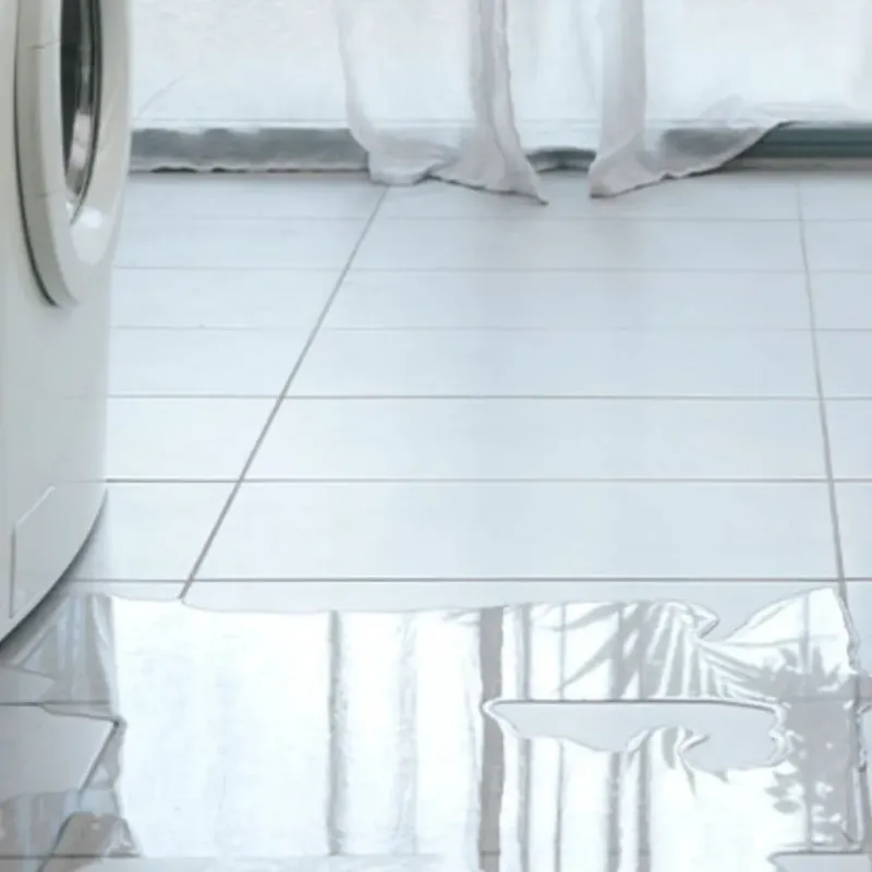 Appliance Leak Cleanup in Clio, MI