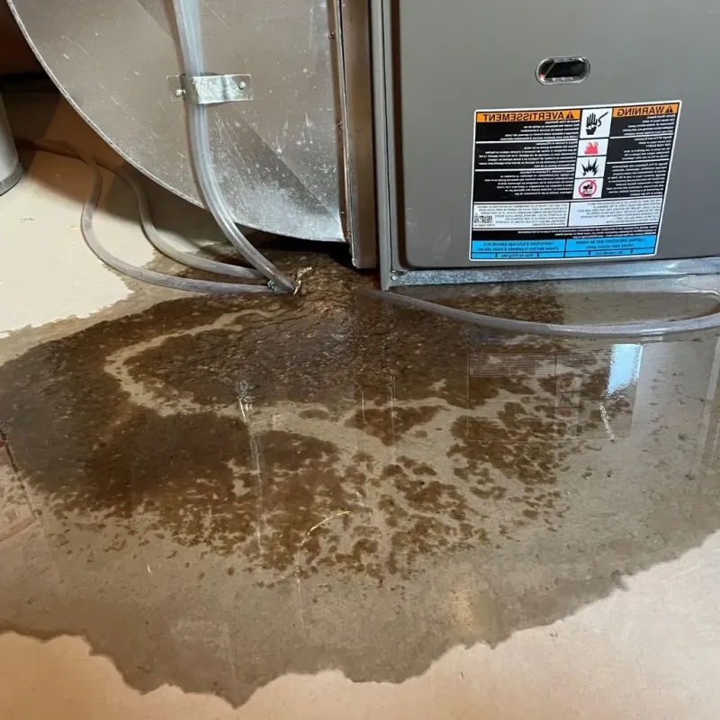Pipe Burst and Leak Restoration in Clio, MI