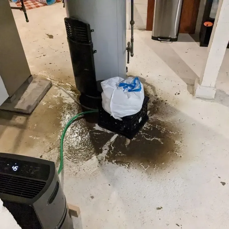 Sewage Backup Cleanup Service in Clio, MI